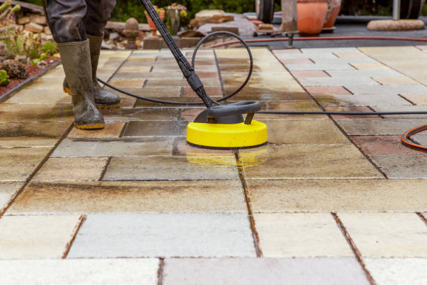 Best Oil Spill Cleanup  in Monte Vista, CO