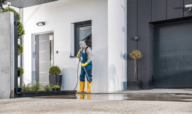 Best Oil Spill Cleanup  in Monte Vista, CO